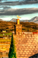 Seagull on Croft chimney pot